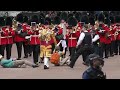 PROTESTERS Get Trampled By Queens Guards! 2022