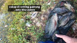 Download lagu Perlahan tapi pasti , spot ini potensi ikan babon  mp3