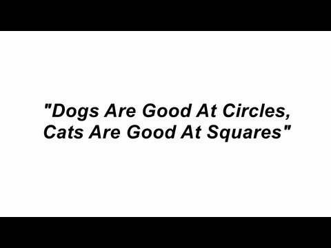 Dogs Are Good At Circles, Cats Are Good At Squares