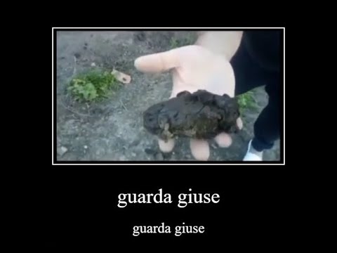 riprendi questa merda giuse