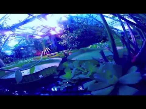 Elrox Ambient Session: The Earthlings Dome