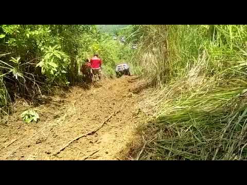 Hilux white uphill - Borneo Safari 2018