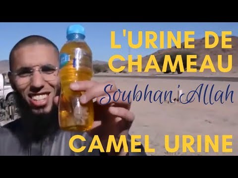 download lagu mp3 mp4 Pisse De Chameau, download lagu Pisse De Chameau gratis, unduh video klip Pisse De Chameau