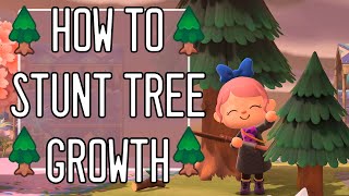 🌲 How to Stunt Cedar Tree Growth in Animal Crossing New Horizons 🌲 Mass Produce Mini Trees Method!
