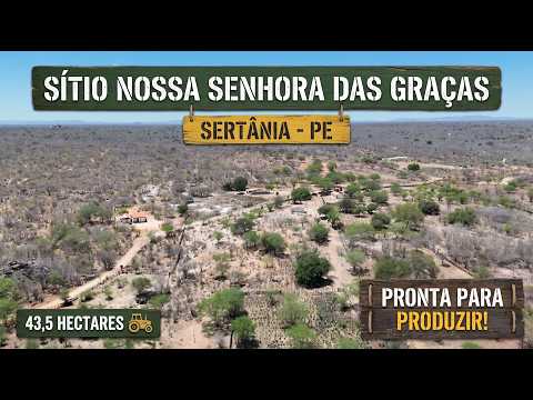 SÍTIO NOSSA SENHORA DAS GRAÇAS | 43,5 HECTARES | SERTÂNIA - PE Moxotó Pernambucano