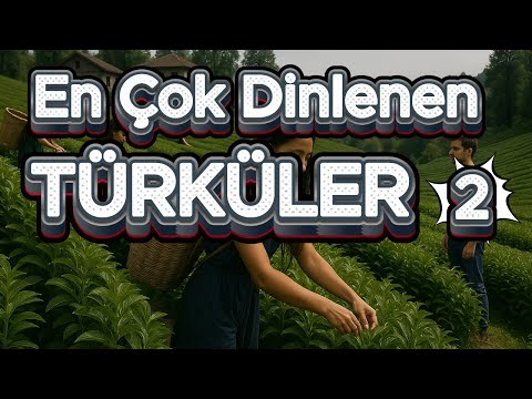En Çok Dinlenen Türküler 2 - Sazlı Sözlü Özel Türküler