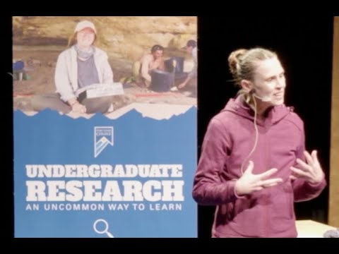 How to Write (and Solve) a Mystery: The Research Process for Writers by Candace Nadon