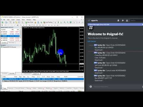 Video MT4 to Discord