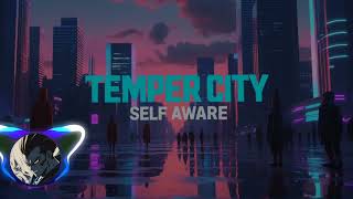 Download lagu Self Aware - Temper City mp3
