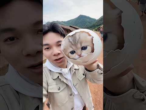 Cơn mưa trứng mèo ở một ngôi làng nghèo