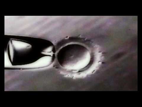 Eshre - Movie Kaleidoscope