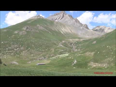 GREGGE DI PECORE AL PASCOLO AL COLLE DELLA MADDALENA IN VALLE STURA. (CN) LUN. 13 - 6 - 2022.