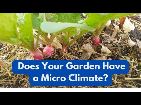 Does Your Garden Have  a Micro Climate?