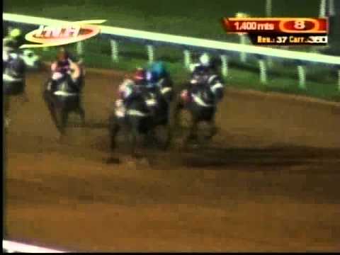 Resumen Jueves, 09 de Octubre de 2014  - Santa Rita