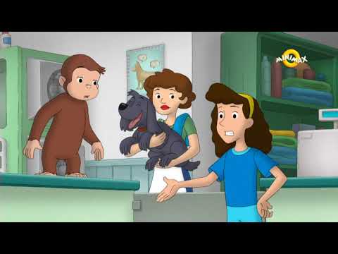 Zvědavý George 126 | S11E03 - Byla temná a bouřlivá noc | Zvědavý Džordž češe psy