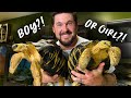 MALE Or FEMALE TURTLE How To Know