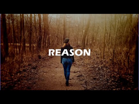 ARNHEMIA, Chase Bell - Reason (feat Selena Sofia)