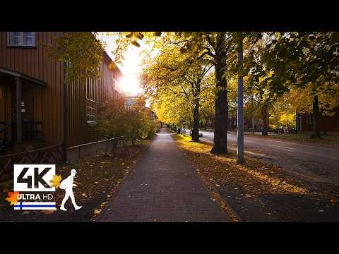 Suburban Autumn Walk in Helsinki, Finland 🍁 Slow TV 4K