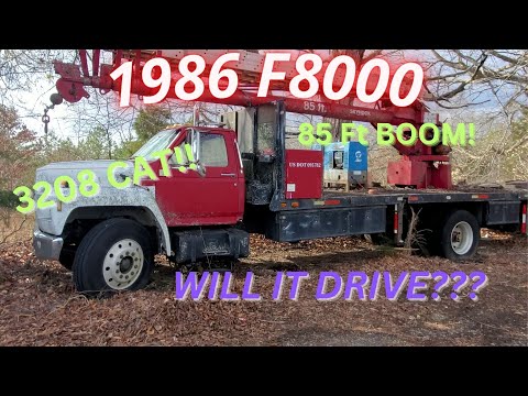 Ford F8000 Been Sitting For A Few Years. Can We Drive It Home???