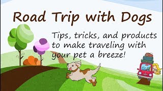 Road Trip with Dogs Travel Tips