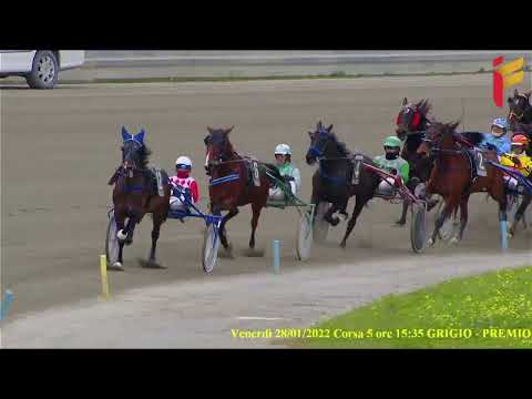 V Corsa del 28 Gennaio 2022 - Cat. G - Metri 1600