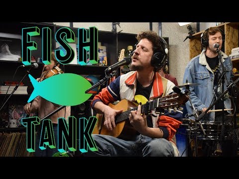 The Angelcy - Everyone 🐟 FISHTANK