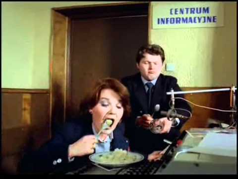 Miś Języki na lotnisku