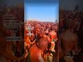 Basotho Initiates