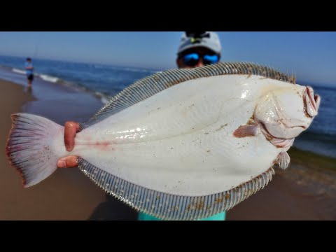 First Fluke Trip of 2022 - Jigging Up a Triple Limit!