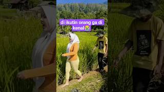 Download lagu DI TARIK KE PADI#gemoy #jandadesa #bodorsundaterbaru #sawah #lucu mp3