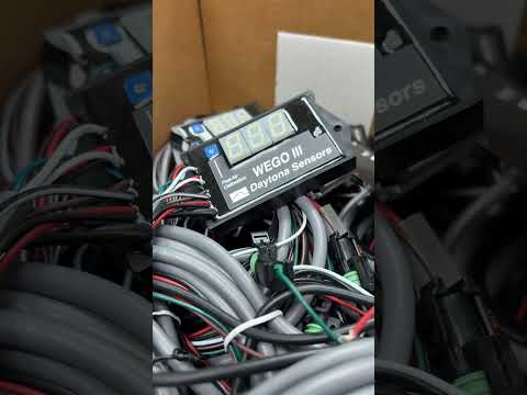 WEGO 3 - Display Final Test