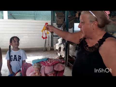 Donación para los niños de sagua de tanamo holguin afectados por el huracán melissa 