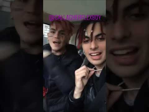 Gallagher & Traffik lottano, fanno dire Negro a un Bambino 🤪 Spoilerano Canzone (SickLuke)