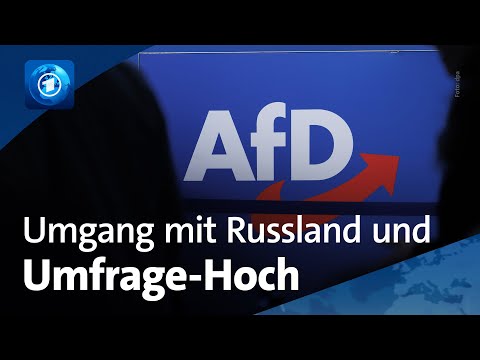 AfD: Umgang mit Russland und Hintergründe zum Umfrage-Hoch