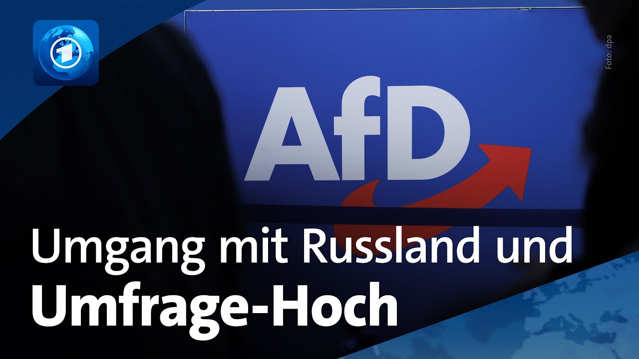 AfD: Umgang mit Russland und Hintergründe zum Umfrage-Hoch