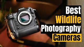Best Cameras for Wildlife Photography 2025: Capture Birds & Animals Like a Pro!