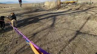 Dryland canine training at Boulder County's Lagerman Reservoir with Socks and Marion