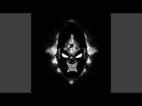 Celula De Criză (feat. Phunk B)