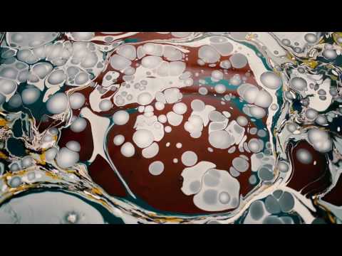 Video thumbnail for Selection of a Place