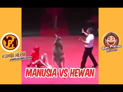 kombi-heppiii-manusia-vs-binatang