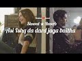 Asi Ishq Da Dard Jaga Baitha Slowed Reverb Feel The Song