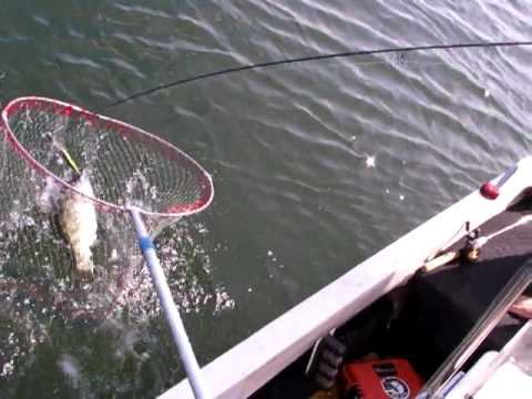 1-15-bass3 pantabangan