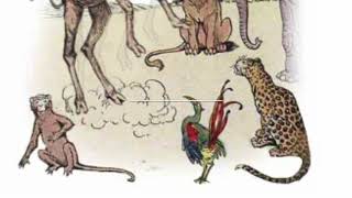 Aesop's Fables The Monkey and the Camel