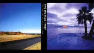 The Bycicle Thief - Cereal song