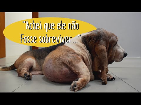 Uma história de esperança