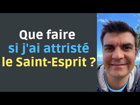 Que faire quand on a attristé le Saint-Esprit ? David Théry Capsule nº74