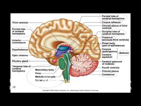 The Sacred Secret of the Christ Within - Santos Bonacci