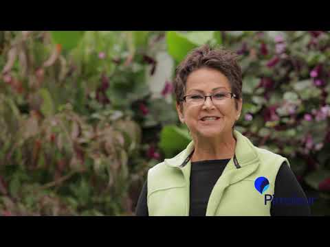 My Pimsleur Story – Rita