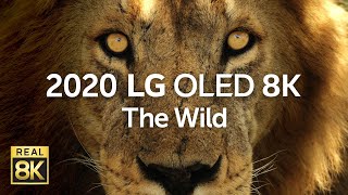 Video 1 of Product LG SIGNATURE ZX OLED 8K TV