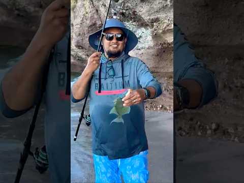 Saltwater fishing is an amazing experience! ? #fishing #ocean #adventure #shorts